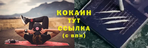 гидра Касимов