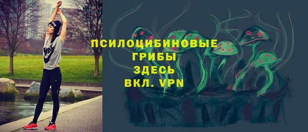 PSILOCYBIN Алексин