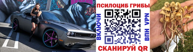 Галлюциногенные грибы Cubensis  Изобильный 